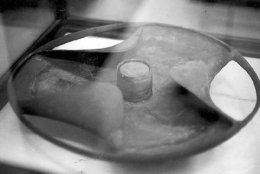 Egypt-CairoMuseum-SchistPlate.jpg (8885 bytes)