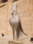 Egypt-Edfu-Horus.jpg (4883 bytes)