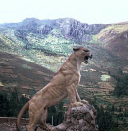 Puma.jpg (17890 bytes)
