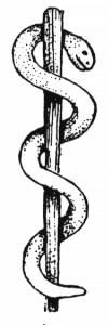 AsclepiusStaff.jpg (6733 bytes)