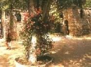 Turkey-Ephesus_HouseOfMary.jpg (10327 bytes)